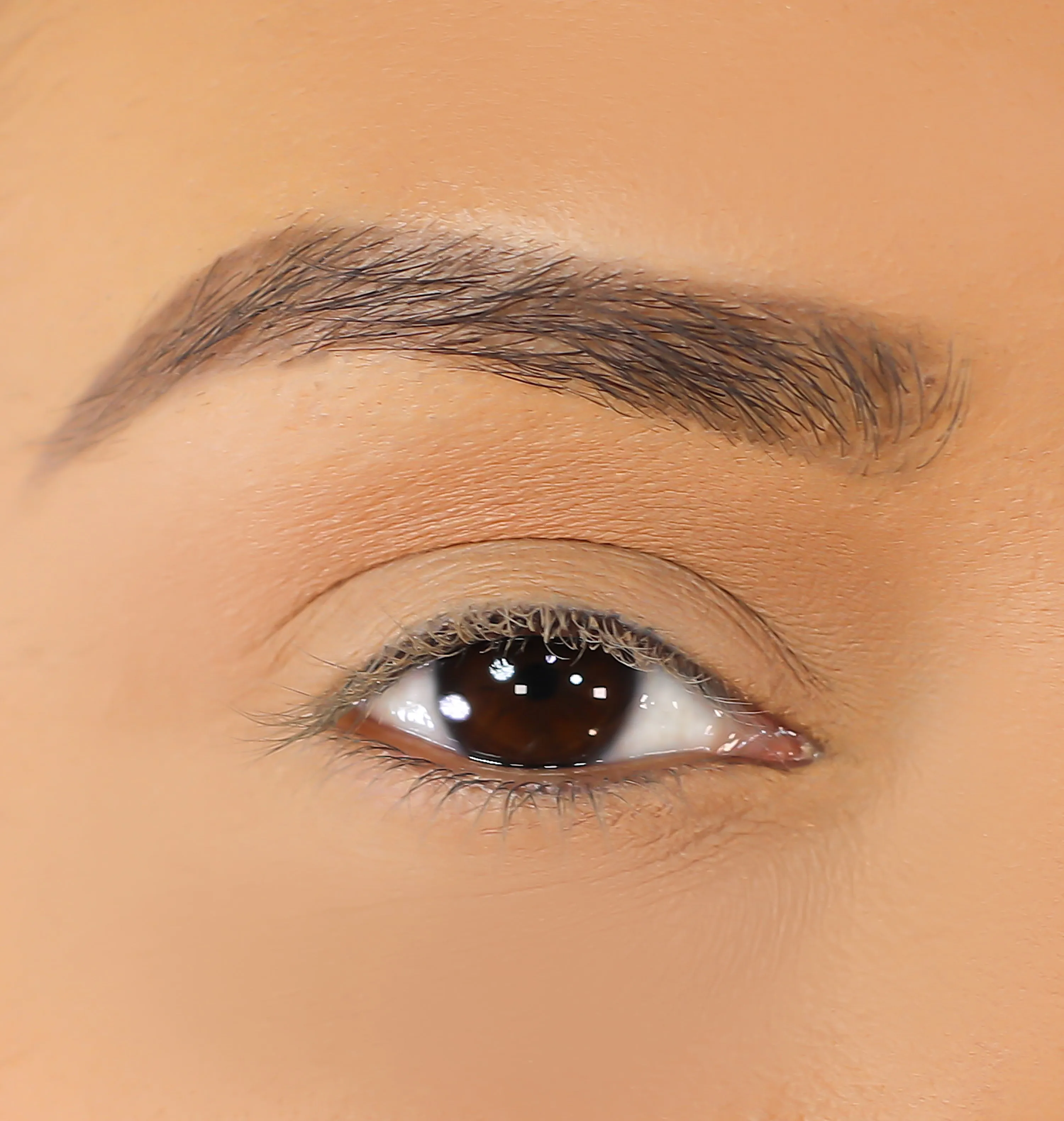 3D Mink Eyelashes - Ellie