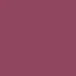 FC Comfy Matte Lip Color Ghost Mode 31 3.8ml